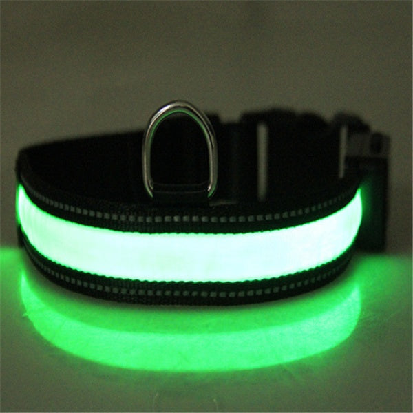 Fluorescent dog collar