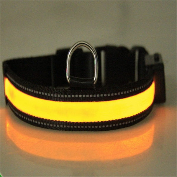 Fluorescent dog collar