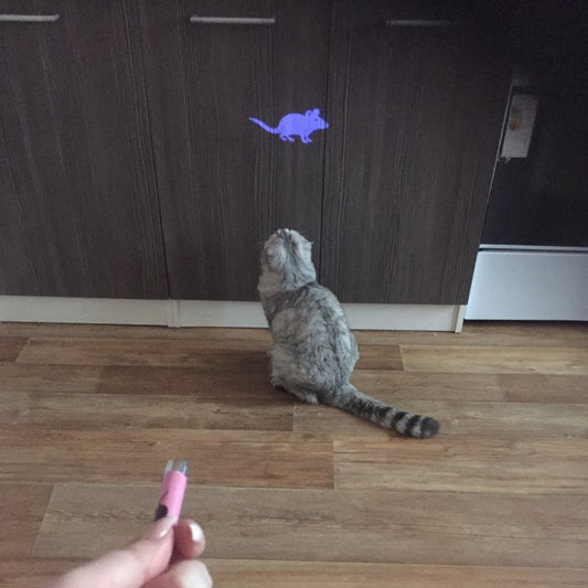 Pet Cat Toys LED Pointer light Pen With Bright Animation Mouse