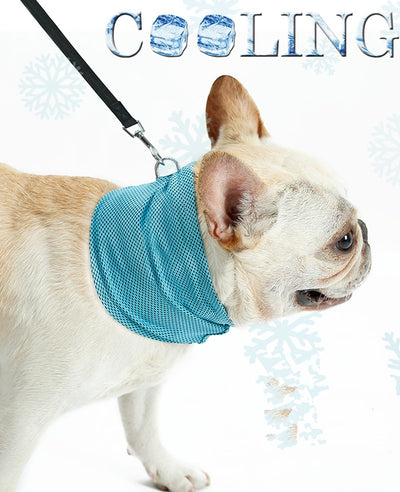 Dog Cooling Collar